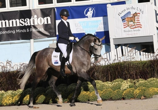 Lot 78 - SF Bohemian Rhapsody (Bernay x VPrSt SF L’Emmanuelle - Le Mode) - Solomom Farm