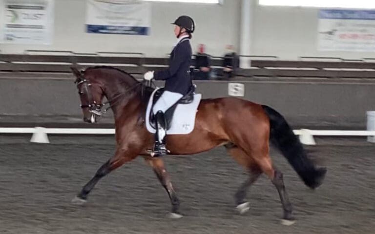Finley Main Trot Show HM21 Nov 768x480