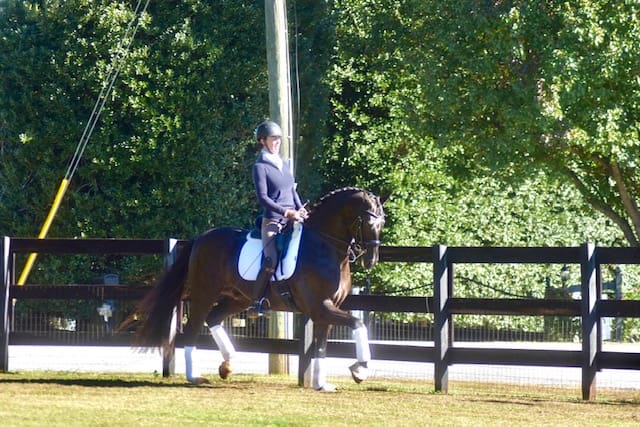 Jagger Trot2 HM21 Nov