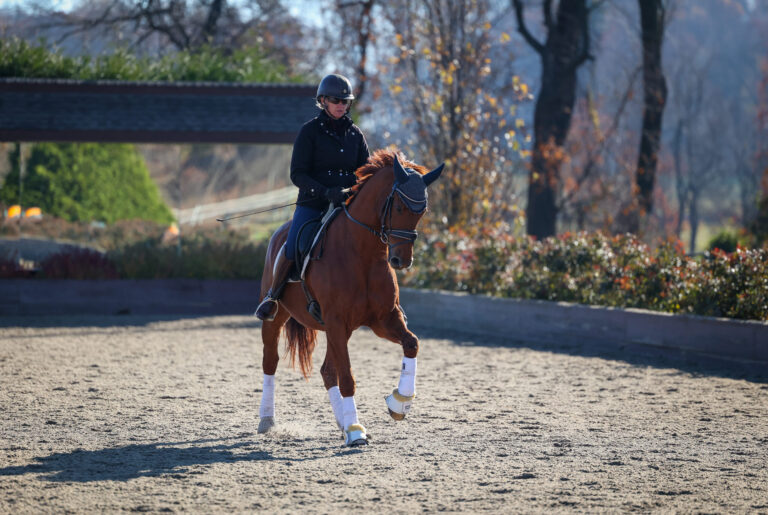 7D1A3232 scaled 768x515