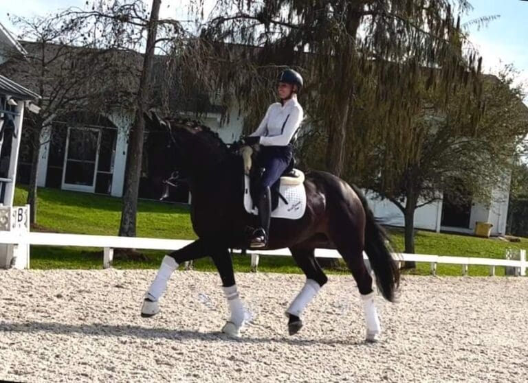 Guantanamo Trot Main HM22 Jan 768x558