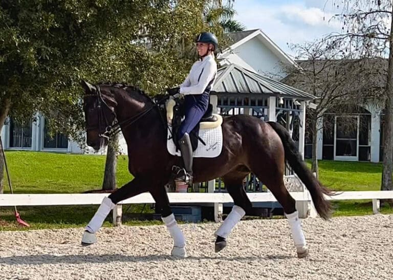 Guantanamo Trot3 HM22 Jan 768x547