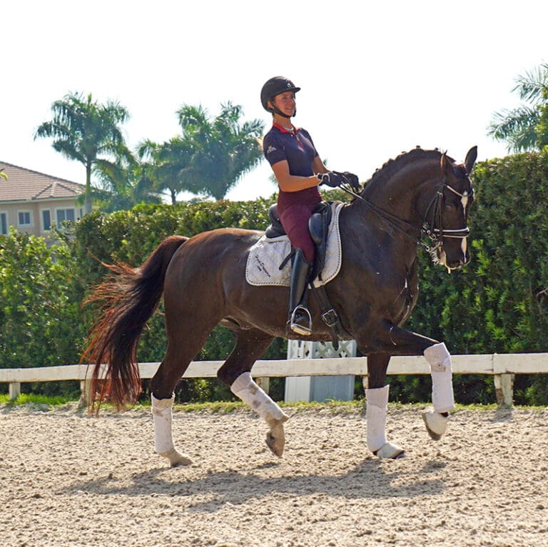 Texas Row passage main HM22 Jan2 768x766