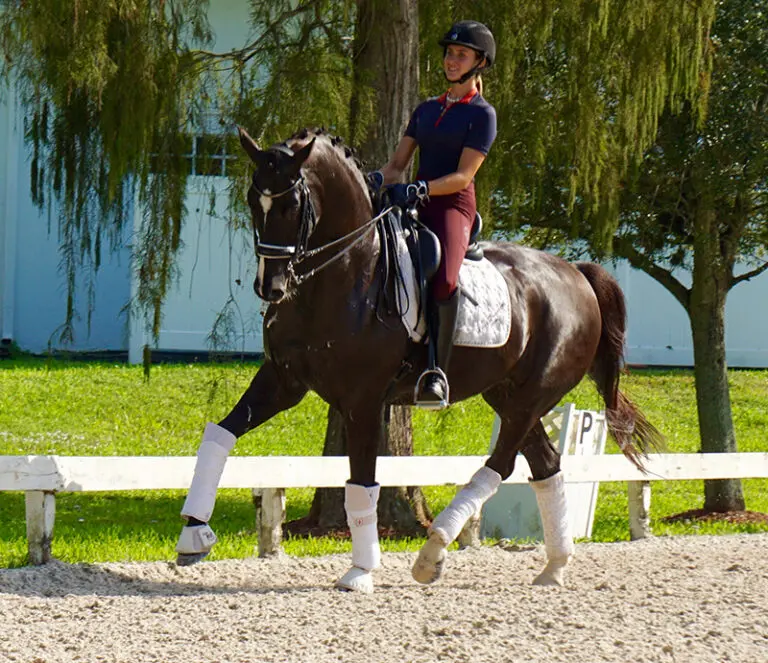 Texas Row trot2 HM22 Jan 768x663