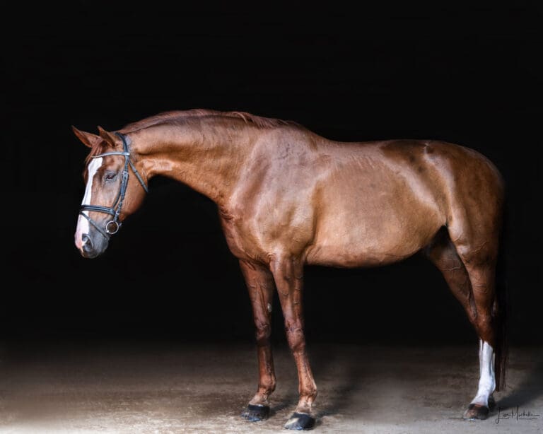 princeton 102 768x614