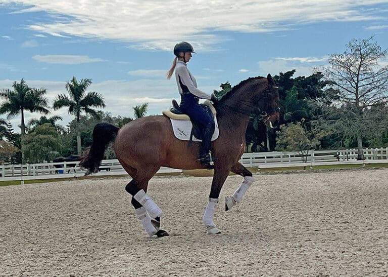 Exception Piaffe HM22 May 768x547