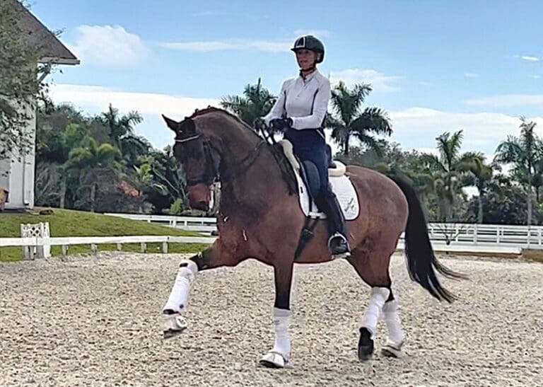 Exception Trot HM22 May 768x547