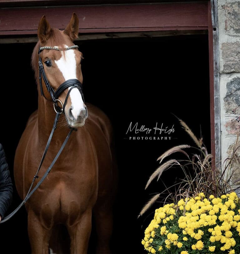 Feininger Head Main HM22 July 2 768x812