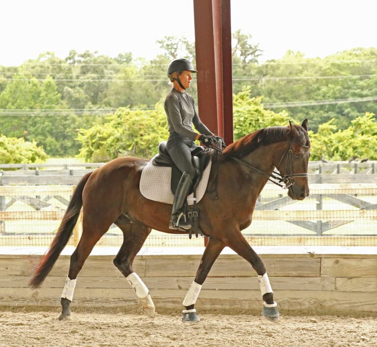 Kyo Trot 215A0217 768x706