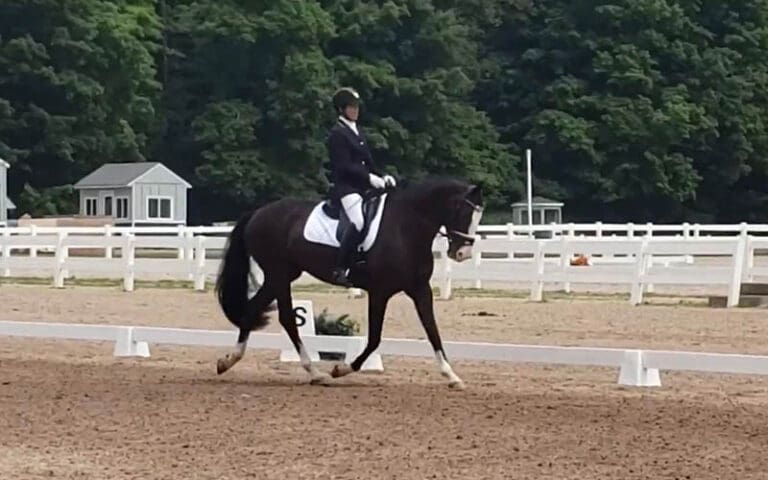 Remmington Main Show HM22 October 768x480