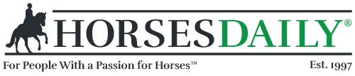 HorsesDaily Logo