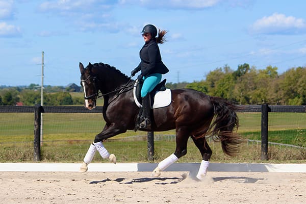 Lets Be Famous Canter2 HM23 Jan