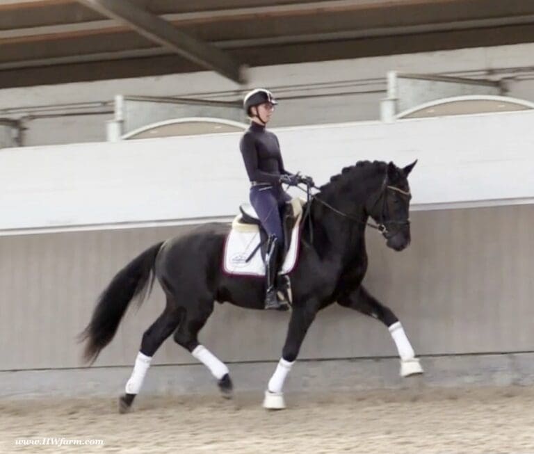 Secret Desire HW trot2 768x653