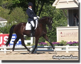 Photo:  Debbie Hill and Leslie Waterman’s Hannoverian Gelding by Sir Donnerhall, Sir Sherlock