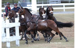 Chester Weber at Grand Oaks