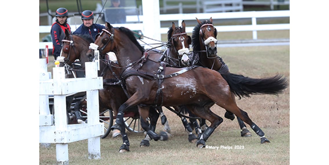 Chester Weber at Grand Oaks