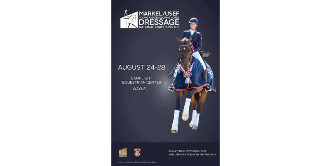 Cover - Markel_poster_2016