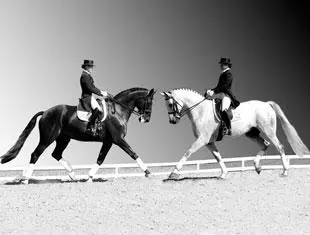 Cover - Stacy Parvey-Larsson and High and Mighty and Weltinvader. (Photo CREDIT: BLUECENTAUR.COM)