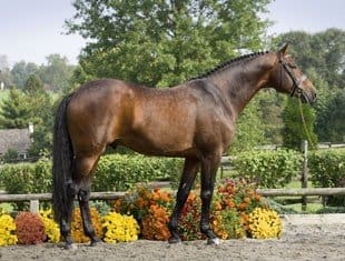 Cover - Iron Spring Farm's Sir Sinclair, 2016.