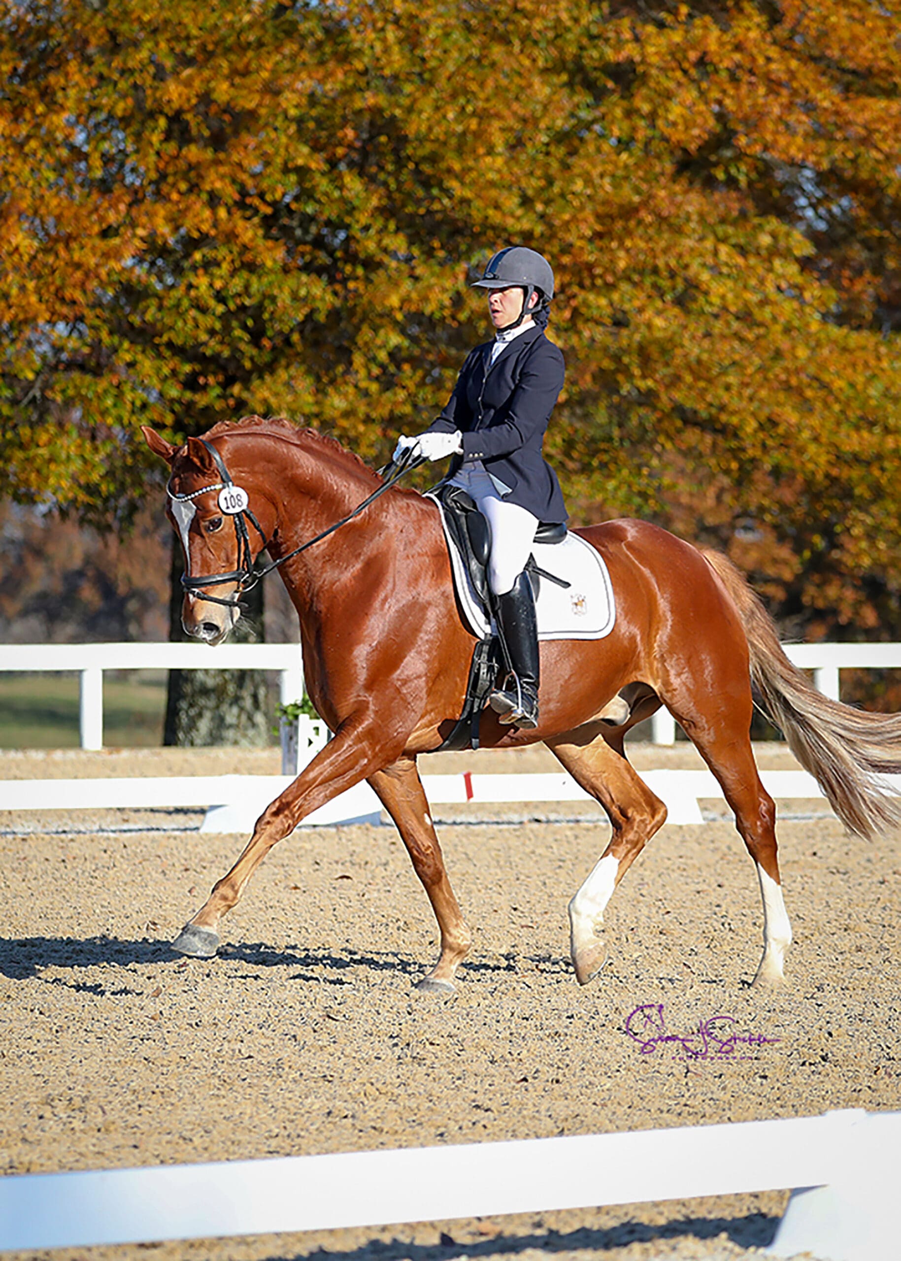 Cover - Catherine Fleming Kuhn and WashburnWS, 2018 (Photo Credit: copyright susanjstickle.com)