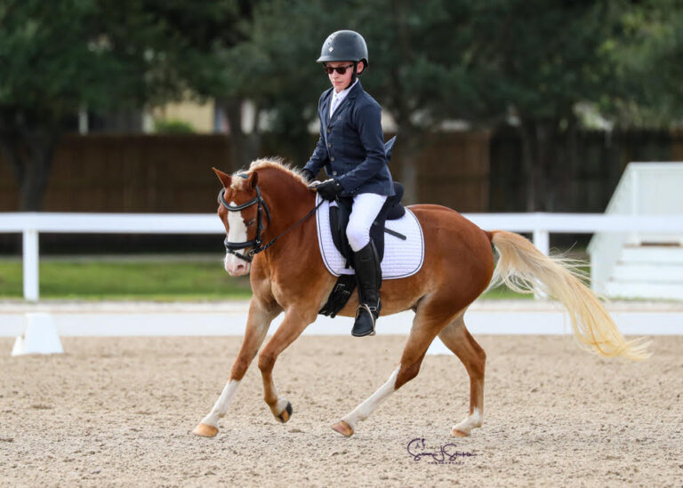 Cracker Jack Canter HM21 Dec 768x549