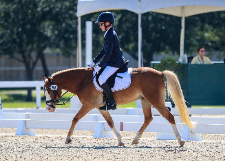 Cracker Jack Stretch HM21 Dec 768x549