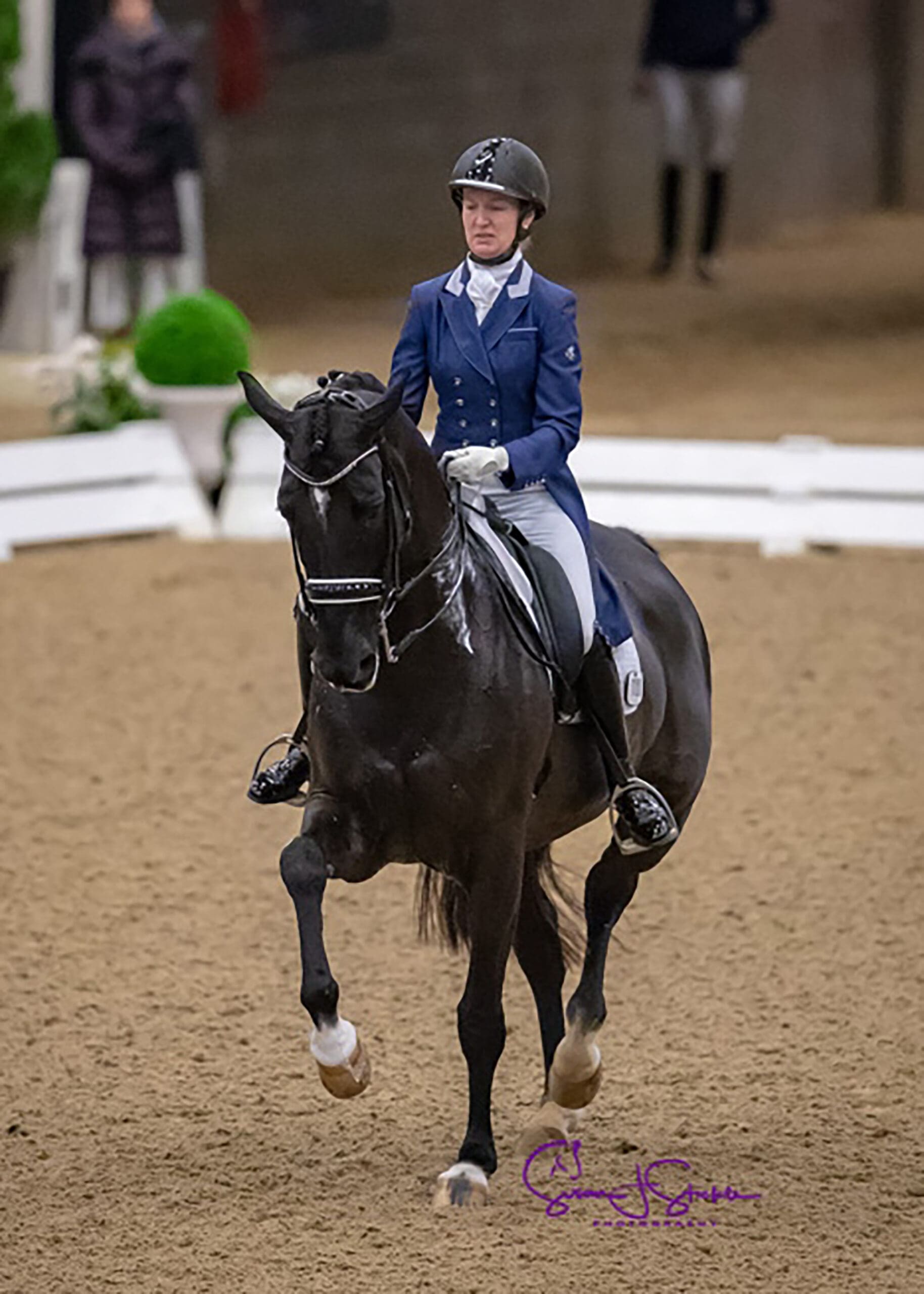 Cover - Alice Tarjan with Candescent, 2018 (Photo Credit: SusanJStickle.com)