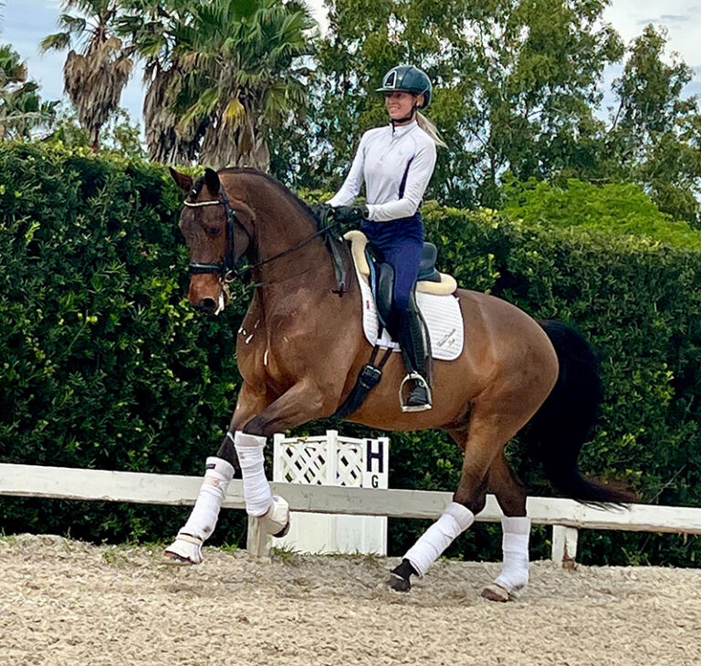 Exception Canter HM22 May 768x730