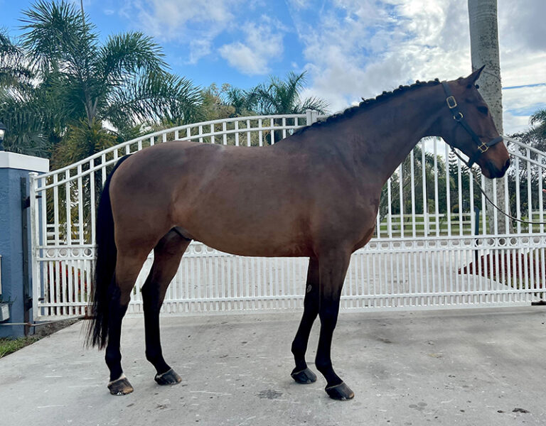 Exception Conformation HM22 May 768x600