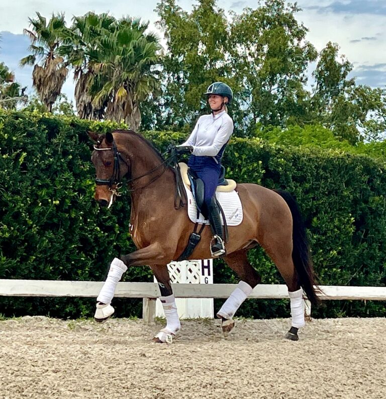 Exception Trot3 HM22 May 768x794