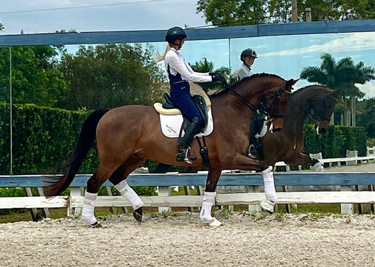Exception Trot4 HM22 May 768x547