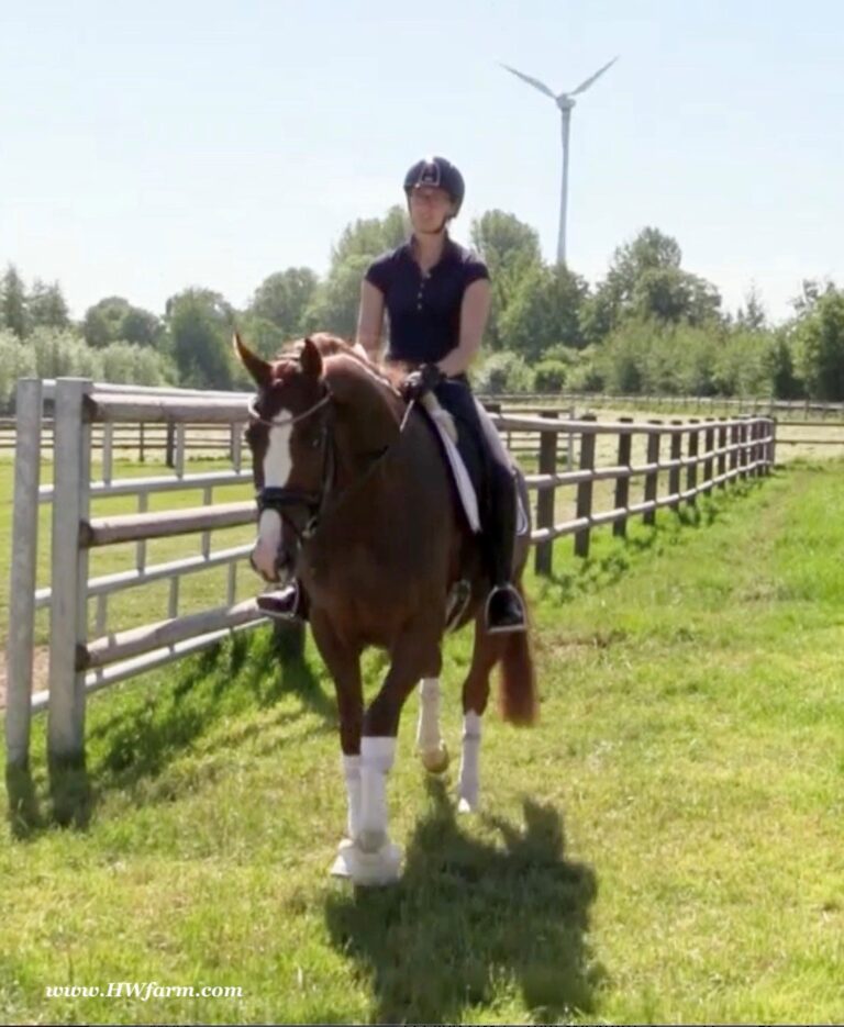 Flirtini HW Hack HM21 June 768x935