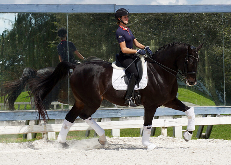 Gai Jin Trot main HM22 Jan 768x547