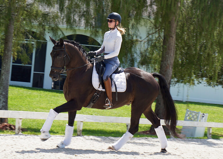 Guantanamo Canter Left HM22 Jan 768x547