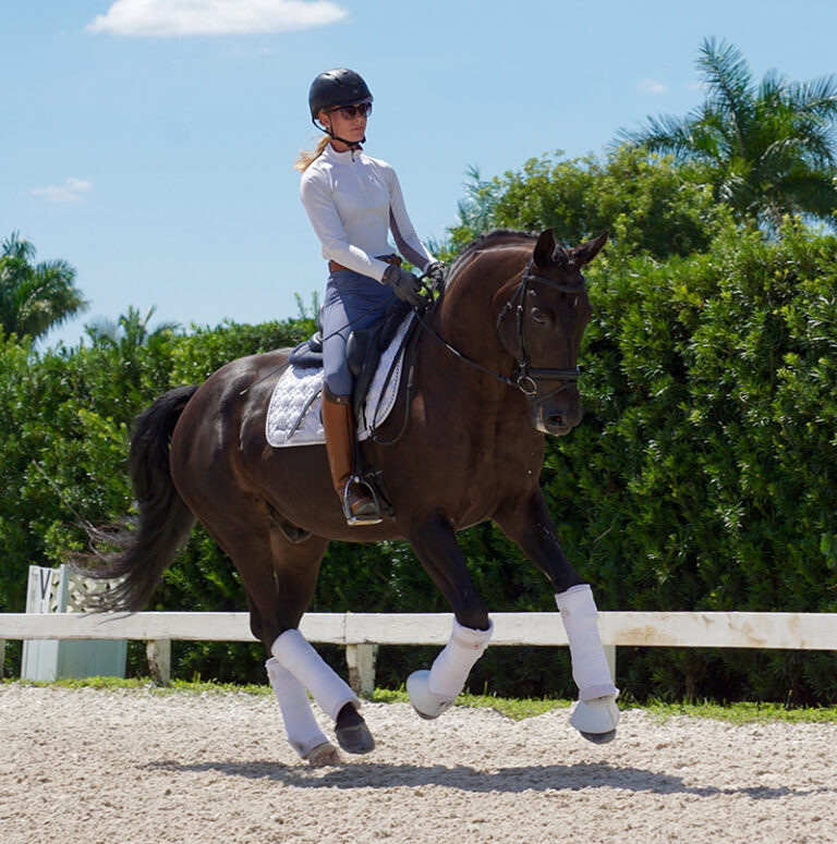 Guantanamo Canter Right HM22 Jan 768x775
