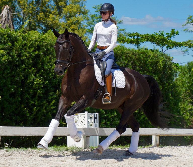 Guantanamo Canter Up HM22 Jan 768x665