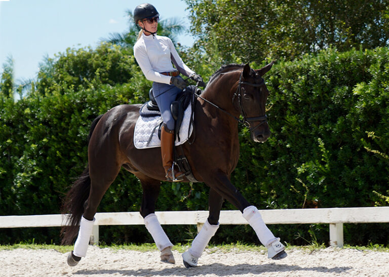 Guantanamo Trot Right HM22 Jan 768x547