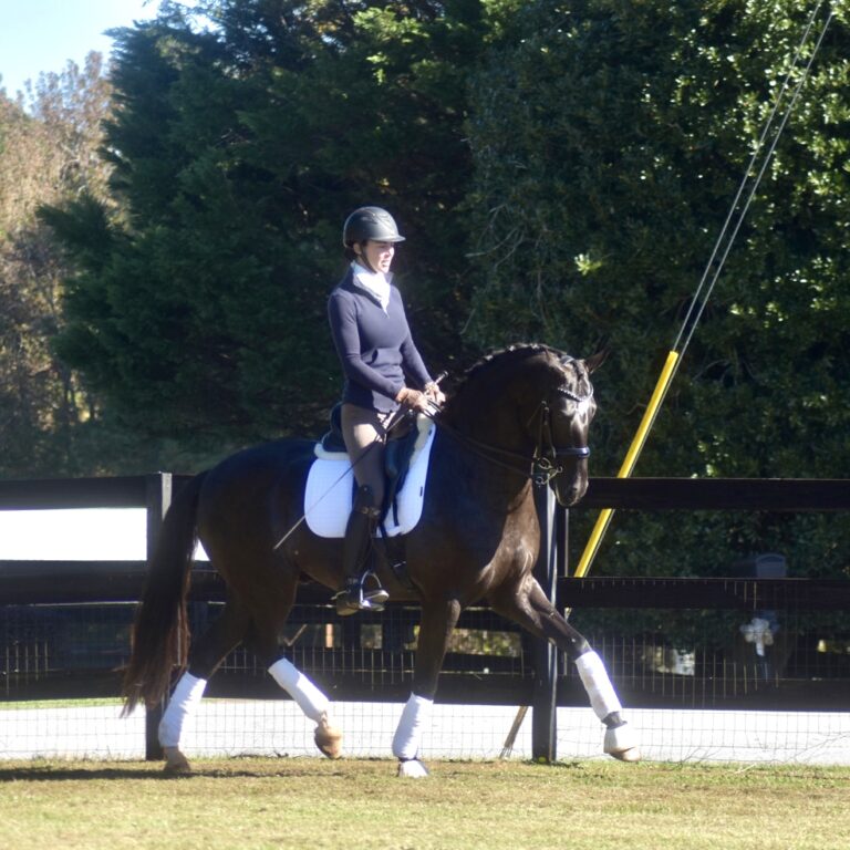 Jagger Trot3 HM21 Nov 768x768