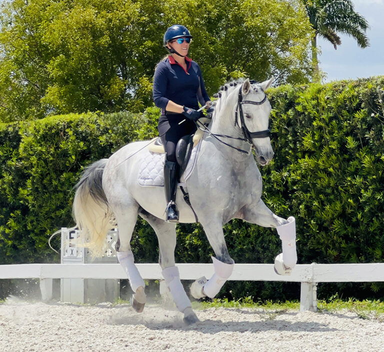 Kelio Canter HM22 May 768x705