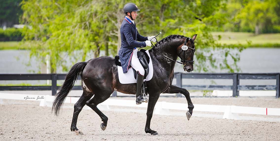 Cover Photo: Endel Ots and Zen Elite Equestrian Center’s King’s Pleasure set sights on the new FEI Seven Year Old Division at the 2022 Markel/USEF National Young and Developing Horse Championships. ©Joanna Jodko