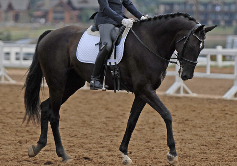 Kozette Walk HM22 August 768x538