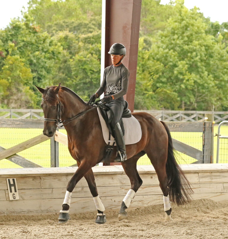 Kyo Trot 215A0181 768x806