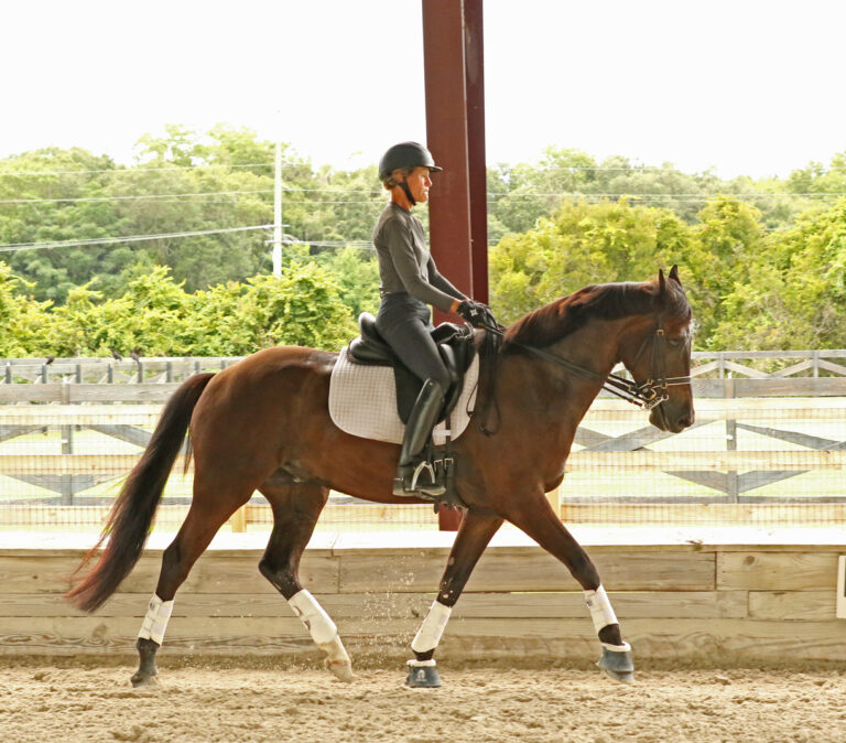Kyo Trot 215A0207 768x674