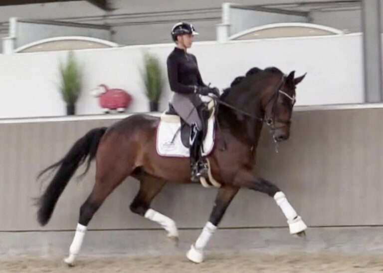 Main Bestseller HW Trot Msin HM22 July 0 768x547