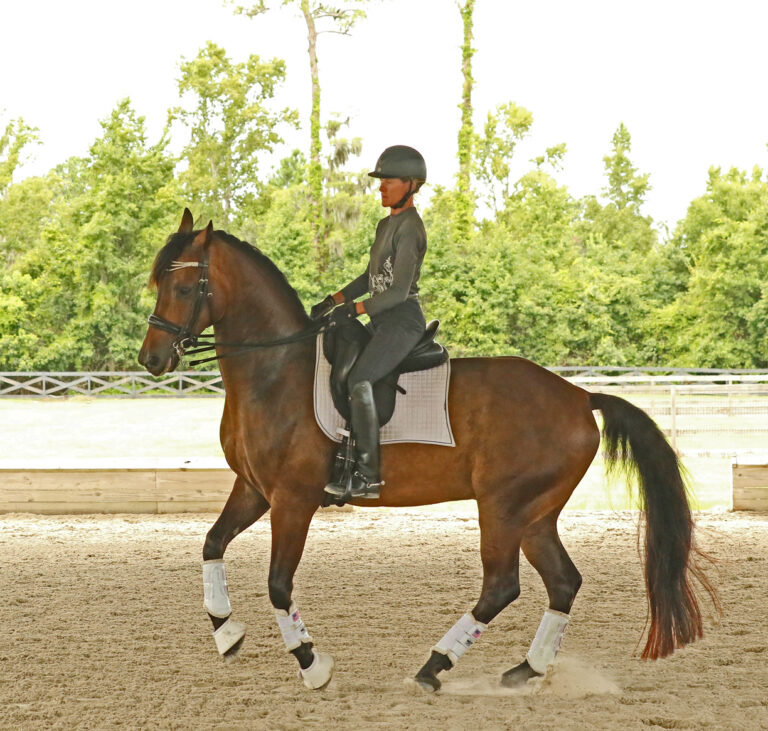 Moose Pir 215A0121 768x731