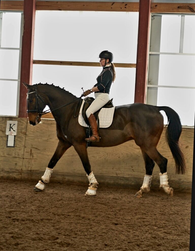 Screenshot 20230325 093344 Chrome 768x986