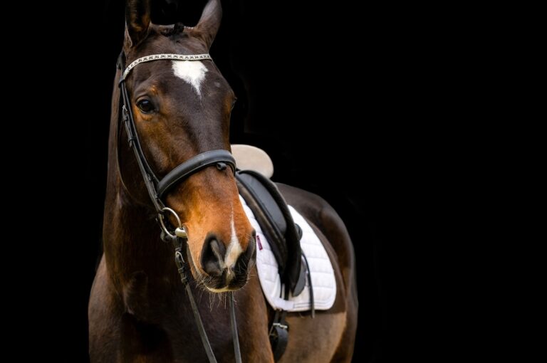 Screenshot 20230411 120232 Chrome 768x510