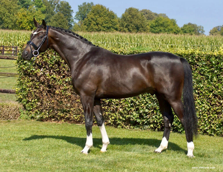 Secret Affair Conformation HM21 Dec 2 768x595