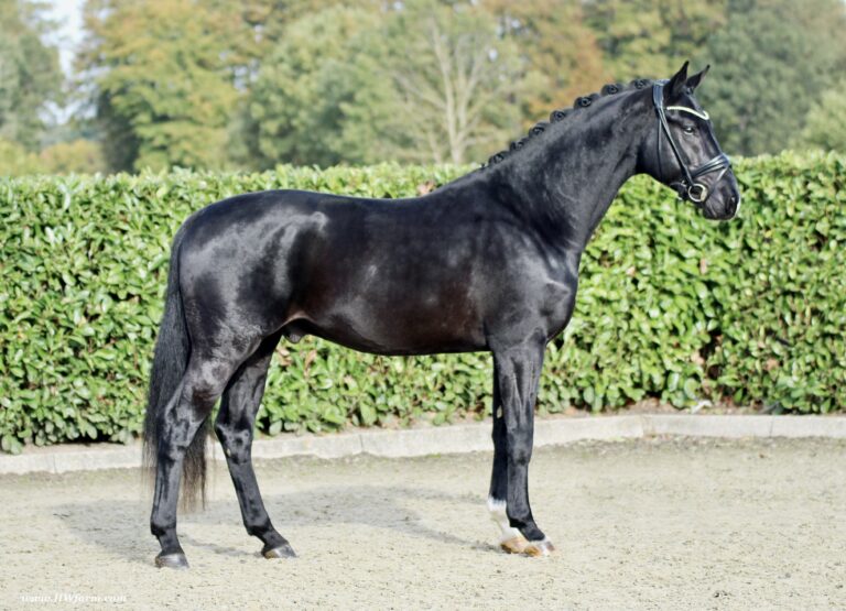 Secret Desire HW stand 768x555