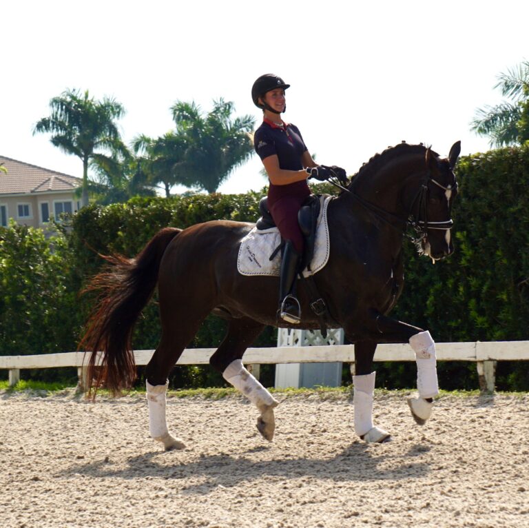 Texas Row passage main HM22 Jan 768x766